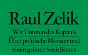 Grüner Sozialismus statt grüner Kapitalismus - ein Gespräch mit Raul Zelik